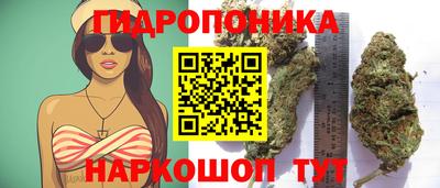 мескалин Гай