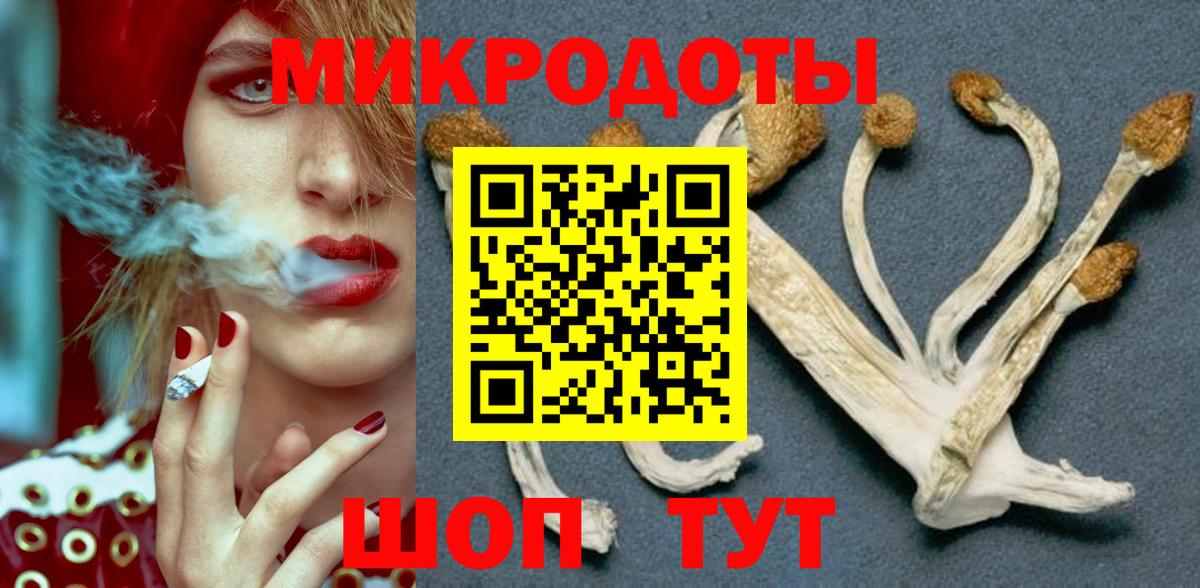 Избербаш  хочу наркоту  Вход с VPN  Псилоцибиновые грибы прущие грибы  Псилоцибиновые грибы мицелий 