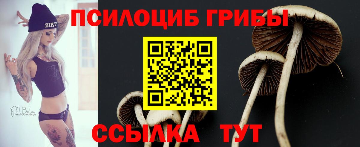 Галлюциногенные грибы Magic Shrooms Избербаш